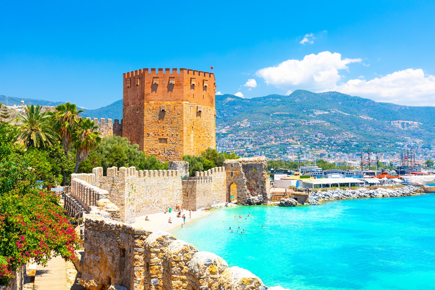 shutterstock_2002099394